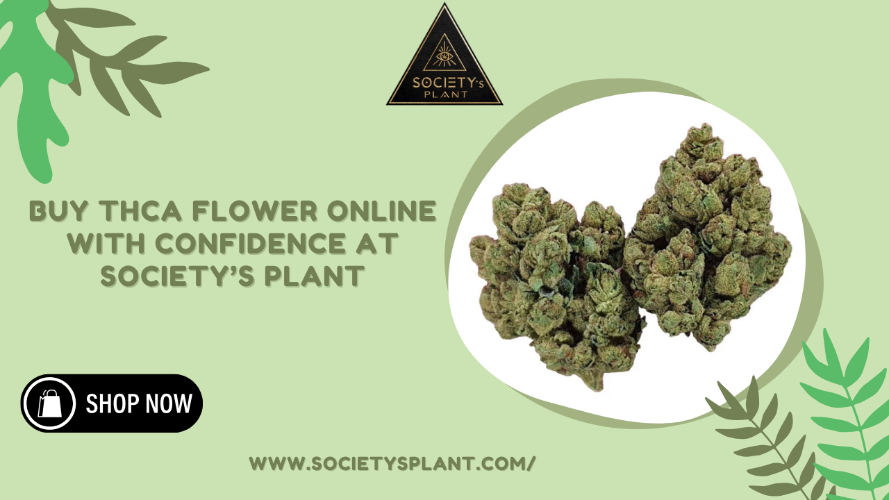 Buy THCa Flower Online with Confidence at Society’s Plant